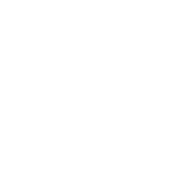 写真リンク